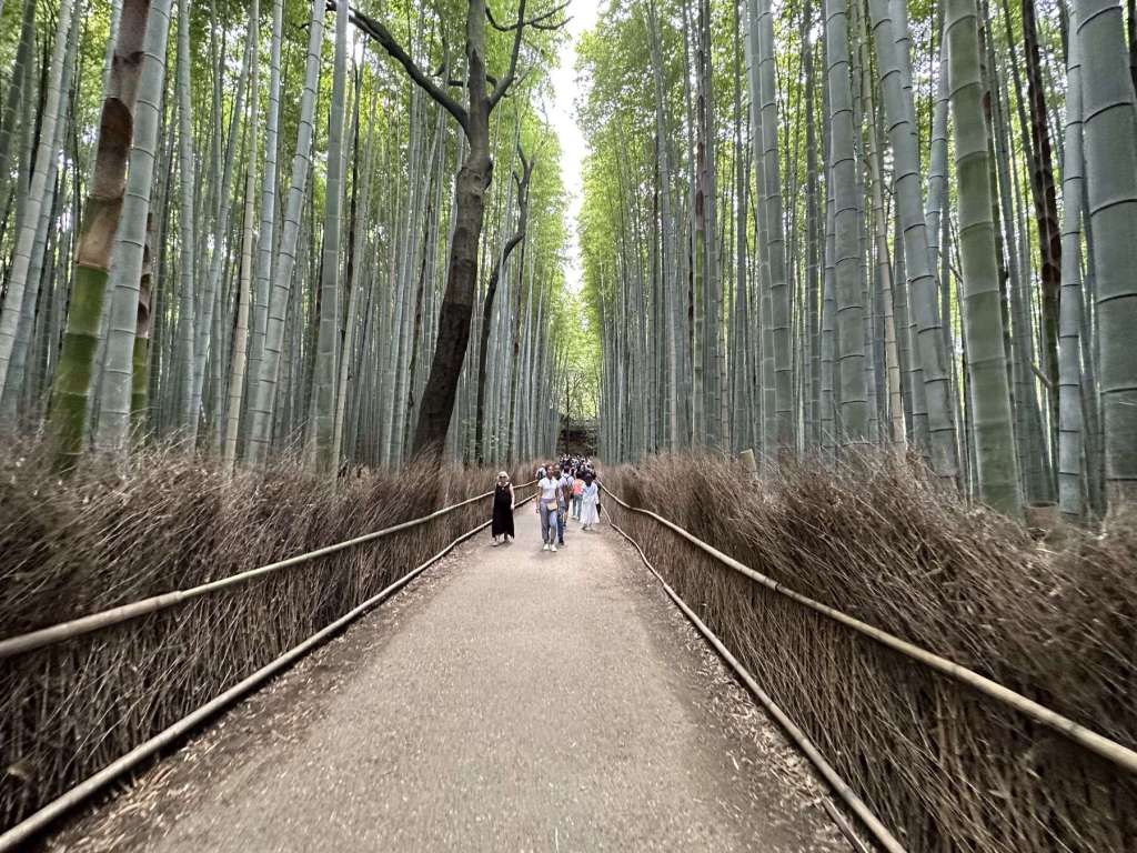 Japan day 7.1: To-ji Temple Flea&nbsp;Market