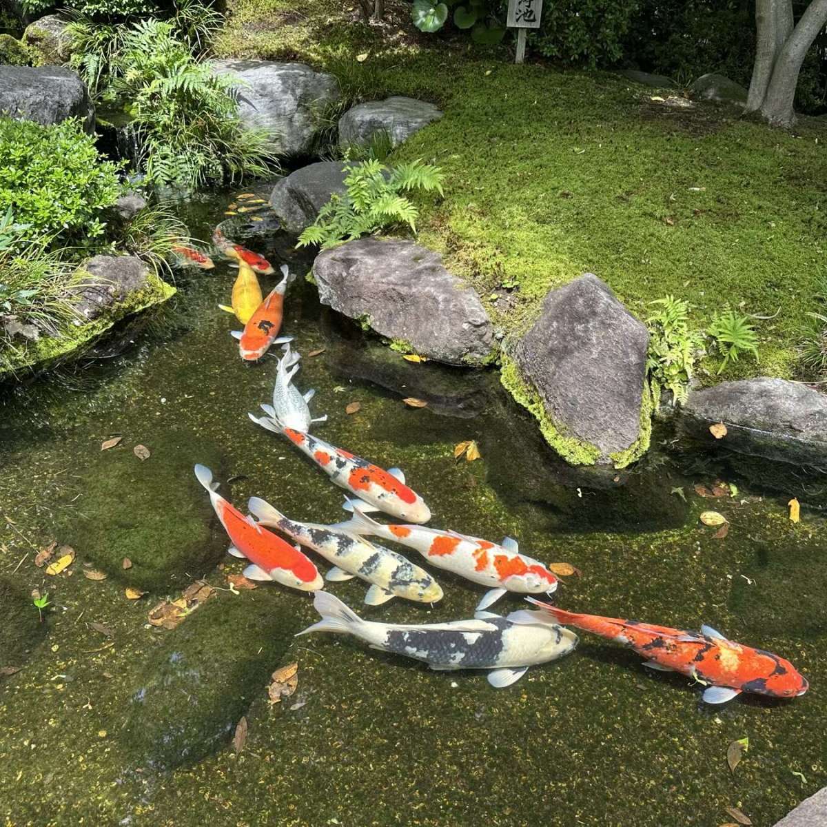 Japan day 14.1:&nbsp;Kamakura