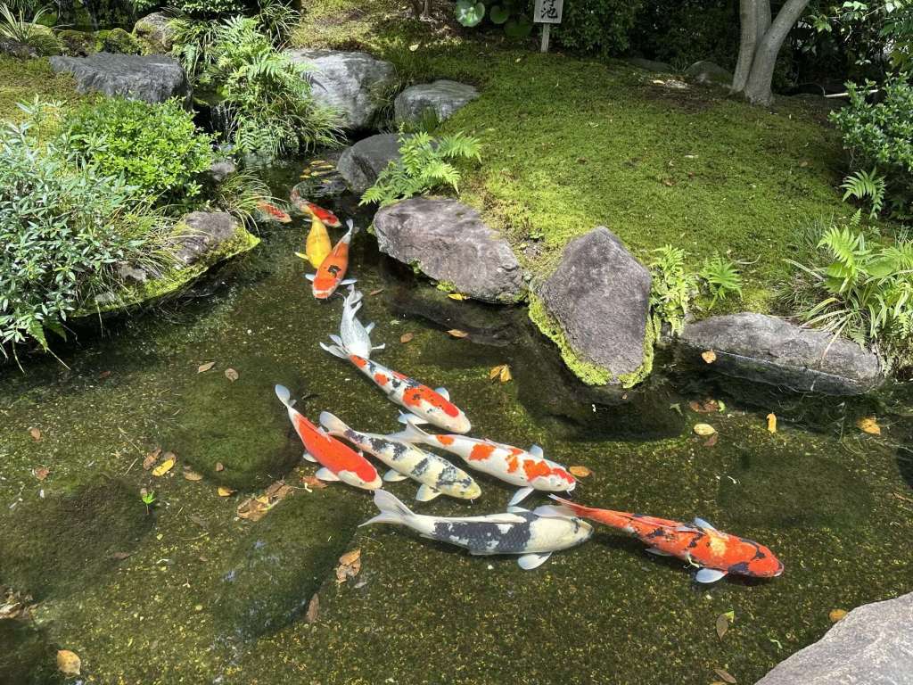 Japan day 14.1:&nbsp;Kamakura