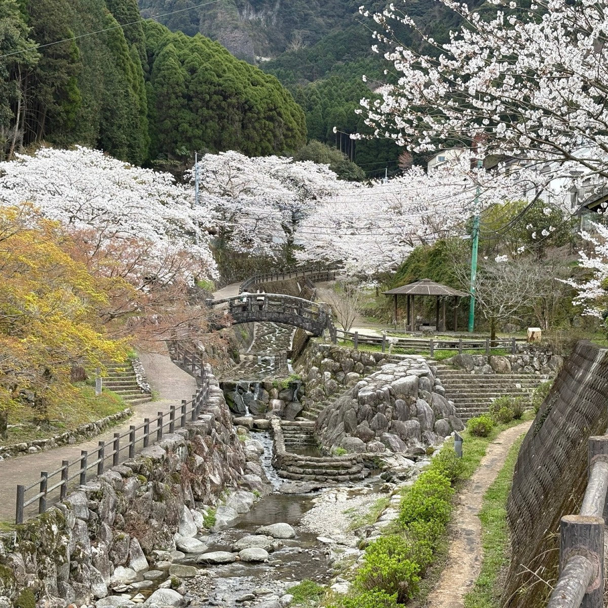 J25 Day 7:&nbsp;Ōkawachiyama