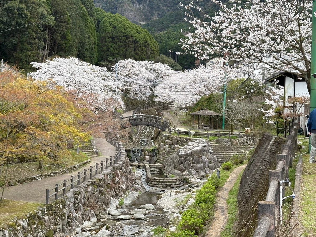 J25 Day 7:&nbsp;Ōkawachiyama