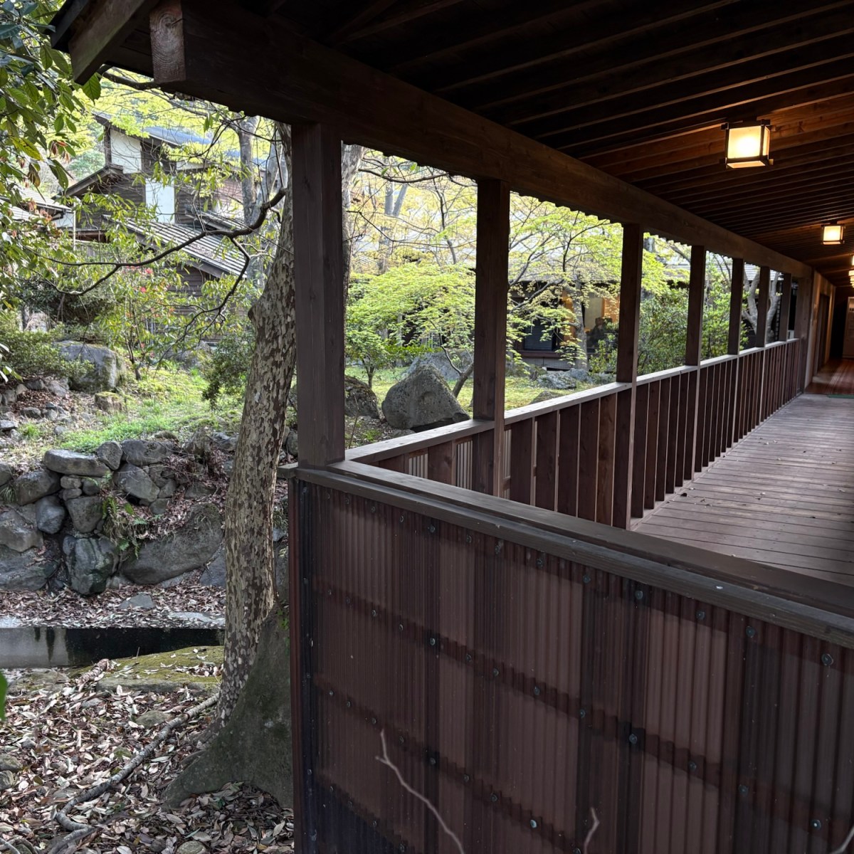 J25 Day 11: Surprise&nbsp;Matsuri