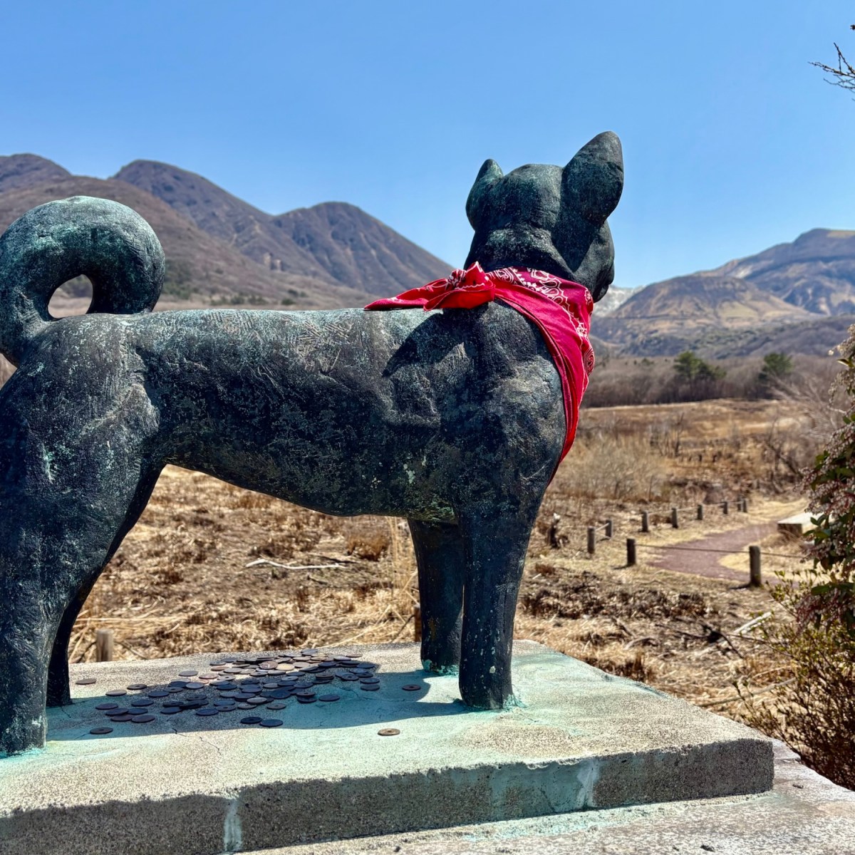 J25 Day 13:&nbsp;Grassland