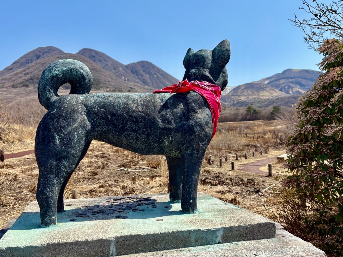 J25 Day 13:&nbsp;Grassland