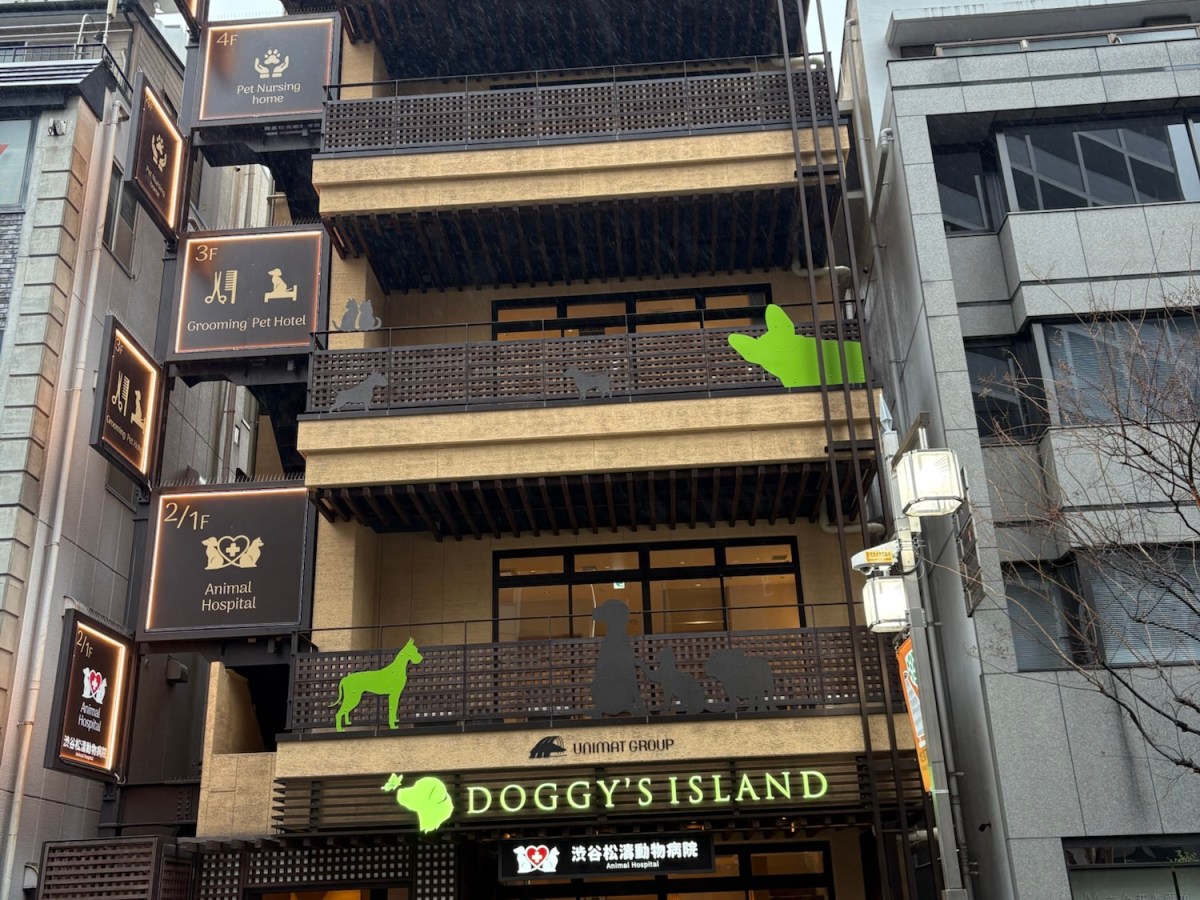 J25 Day 17 & 18: Tokyo&nbsp;Tasks